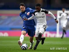 富勒姆球队图片